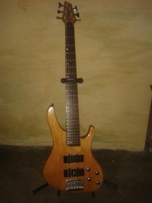 Bajo 6 Cuerdas Activo Washburn Xb-600