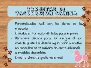 Tarjeta De Vacunacion Para Mascotas Perros Gatos Veterinario