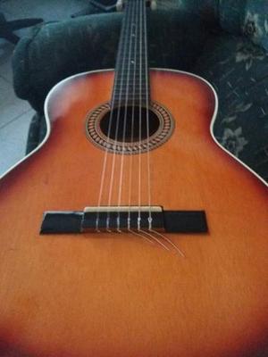 Guitarra Acustica Latin Music Con Forro