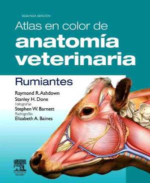 Atlas En Color De Anatomía Veterinaria: Rumiantes