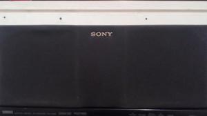 Corneta Sony Ss-cn100