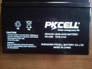 Bateria Pkcell Pkv 9.0ah (recargable)