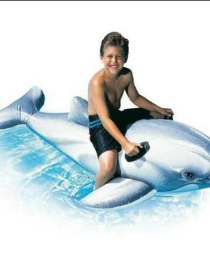 Inflable De Delfin