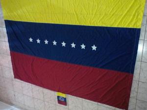 Hamaca De Venezuela Tricolor