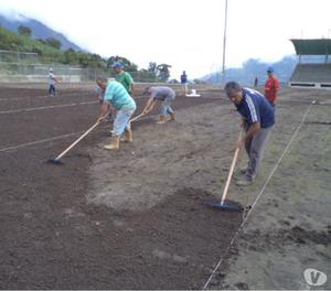 grama natural pasto bermuda grass colombia