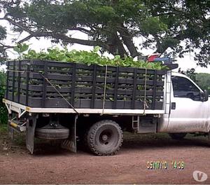 suministros y servicios agroforestales en Colombia y enezuel