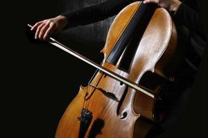 Se dictan clases de musica y violoncello
