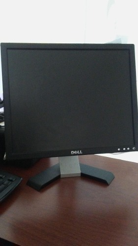 Monitor Dell 17 Pulgadas Usado
