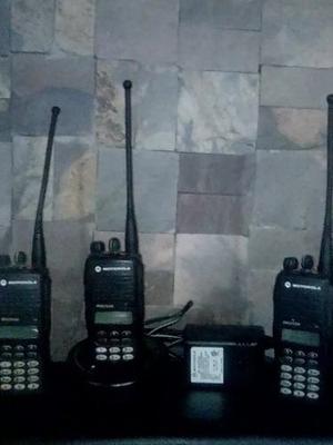 Radio Transmisores Motorola Pro 