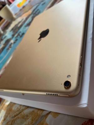 Ipad Pro 9.7 Pulgadas Gold 32gb Wifi Como Nuevo