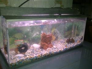 Acuario Con Sus Accesorios.