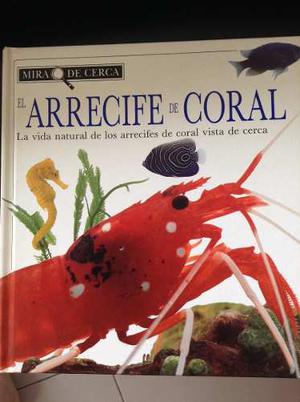 Libro Infantil, El Arrecife De Coral