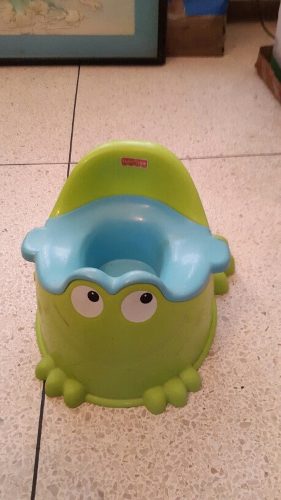 Poceta Para Bebe Fisher Price