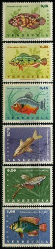 Venezuela (): Animales - Peces