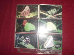 Targetas Tlfs Colecciones Cantv 6 Unid Serie Mariposas Vzlas