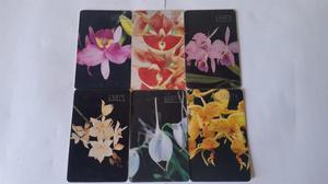 Tarjetas Cantv Serie Orquideas De Venezuela Ii