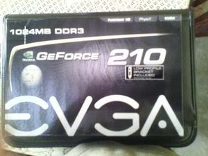 Tarjeta De Video Geforce 210 Evga mb Ddr3