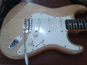 Fender Stratocaster Mexicana Con Mic Lindy Fralin