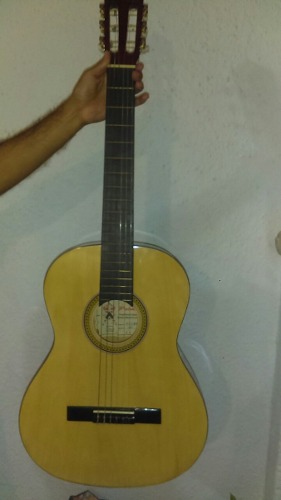 Guitarra Acustica Palmer Con Estuche Cambio Por....