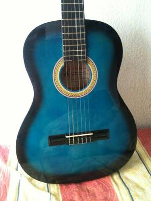 Guitarra Palmer