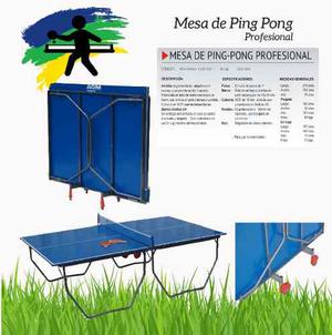 Mesa Ping-pong Profesional