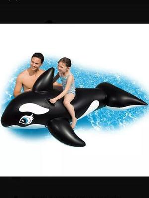 Ballena Inflable (flotador)