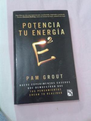 Potencia Tu Energia Pam Grout