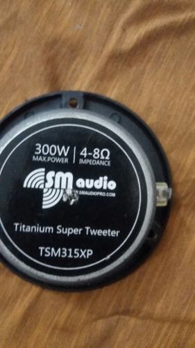 Twiteer Sm Audio 300 Watts