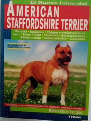 American Staffordshire Terrier