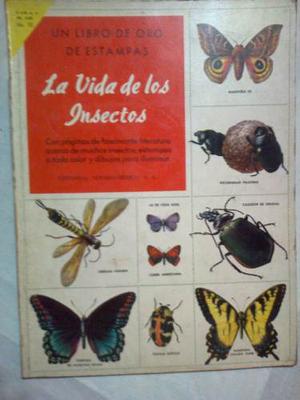 La Vida De Los Insectos