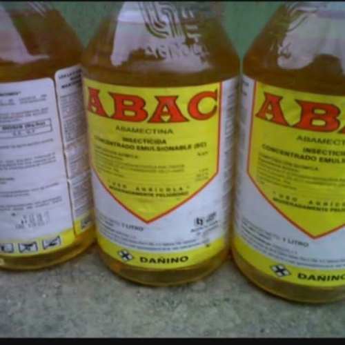 Abac Insecticida