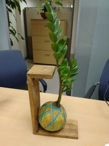 Base Para Kokedama