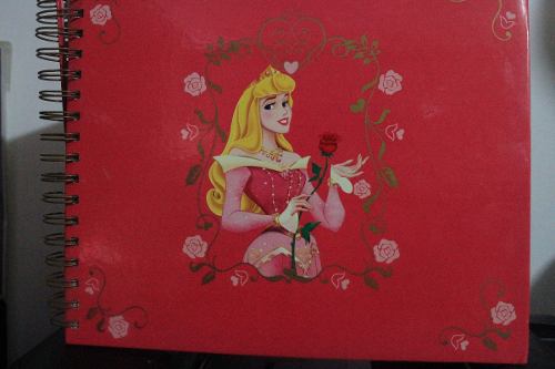 Diario De Princesa Disney Store Album