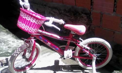 Bicicleta Para Niñas Rin 14