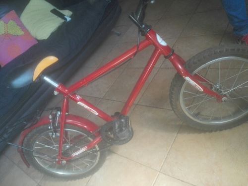 Bicilcleta Rin 16