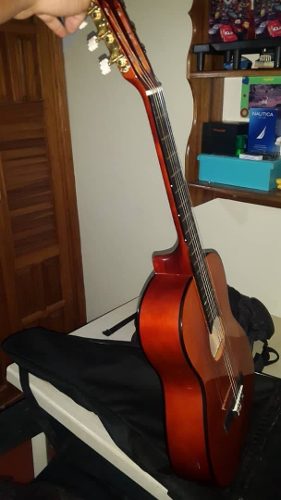 Guitarra Acústica D´andré + Forro Impecable (como Nueva)