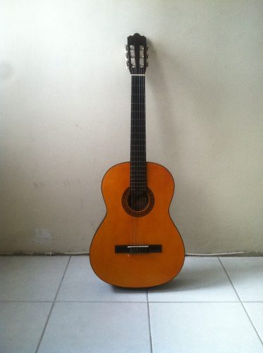 Guitarra Acustica Marca Bravo