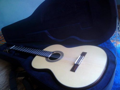 Guitarra Acustica Profesional Ossia Con Estuche Duro Trump