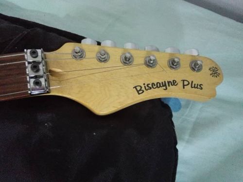 Guitarra Electrica Biscayne Plus Con Forro