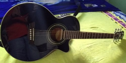 Guitarra Electroacustica Washburn 100% Nueva Con Estuche