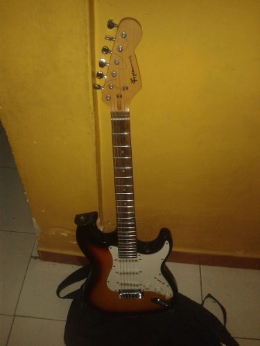 Vendo Guitarra Eléctrica Marca Fretmaster, Con Su Forro