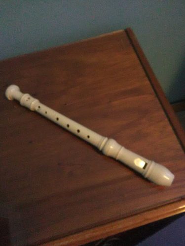 Flauta Instrumento Musical