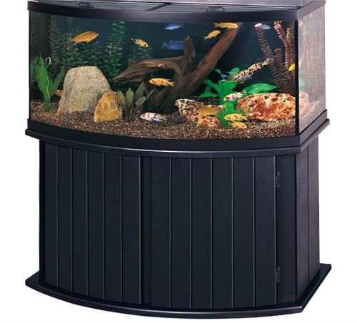 Pecera Acuar Curva 72 Galones All Glass Aquarium 48lx18wx22h