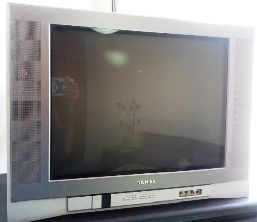Televisor Toshiba 21 Usado