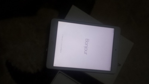 Ipad Mini 16 Gb Wifi + Cel