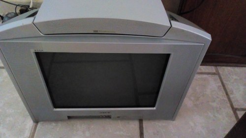 Televisor Sony Trinitron + Vhs Panasonic