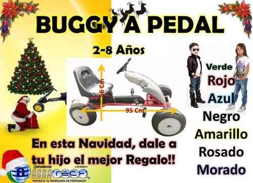 Karting Buggy Para Niñas Y Niños