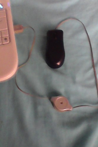 Mouse Marca Fc Usado - Pequeño