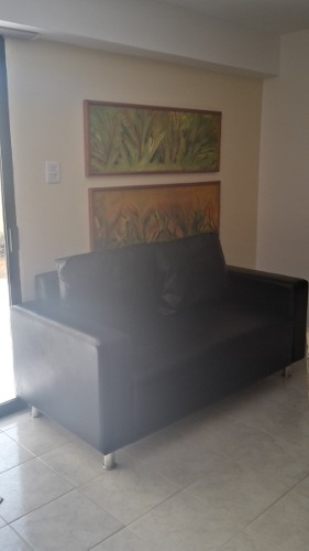 Sofa Dos Puestos Color Negro En Bipiel