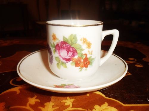 Antiguo Plato Y Taza De Porcelana Bavaria Con Dibujo Central